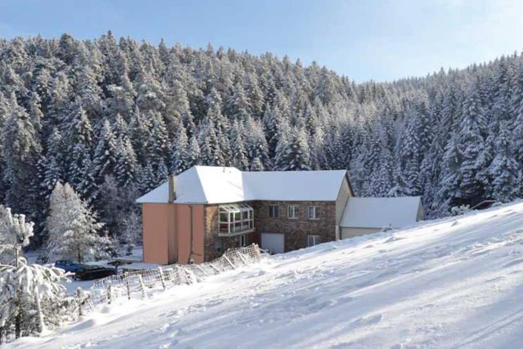 Gite Gretel De La Ferme Du Schneeberg Wangenbourg-Engenthal Exterior photo